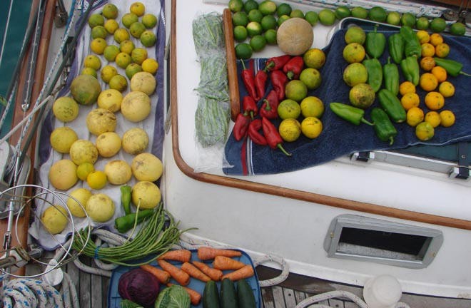 Getting ready to sail for 25 days - bleaching the vegtables © BW Media